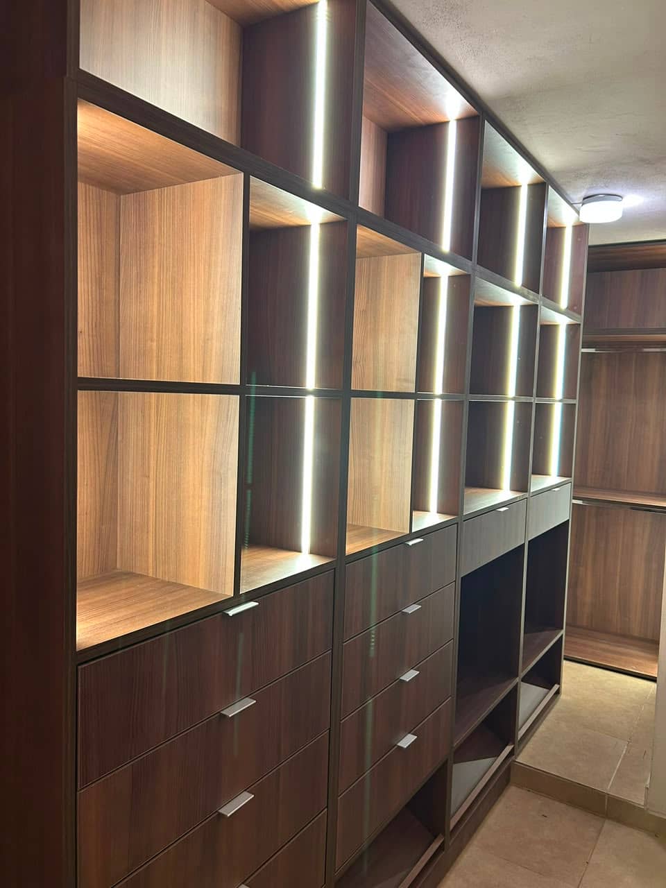 Organización interna